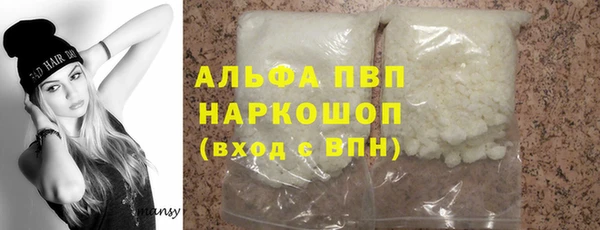 стаф Богданович