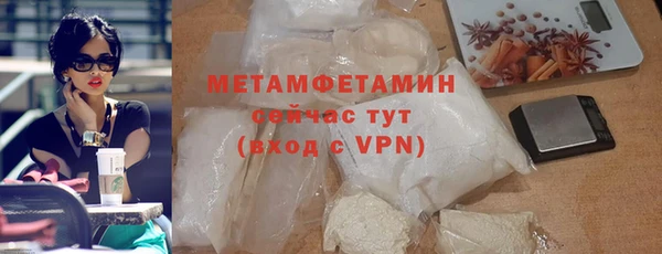 стаф Богданович