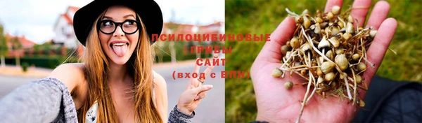 сатива Богородицк