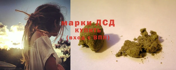 стаф Богданович