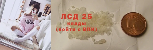 стаф Богданович