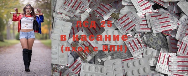 сатива Богородицк