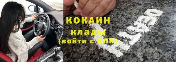 сатива Богородицк