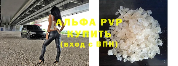 сатива Богородицк