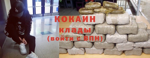 стаф Богданович