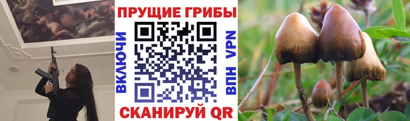 Галлюциногенные грибы GOLDEN TEACHER  где купить   Юрга 